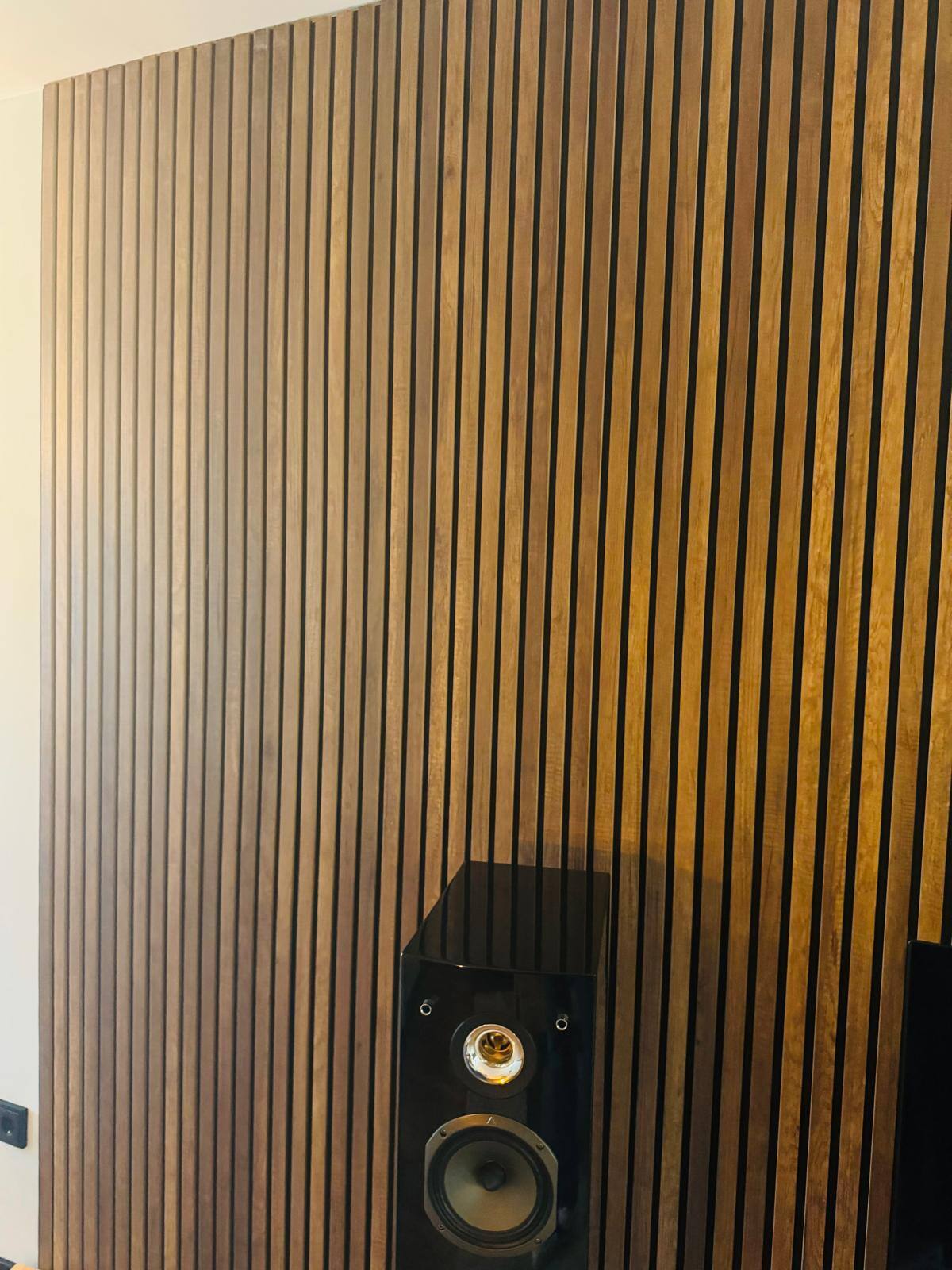 Akupanels_Speakers_Teufels